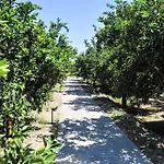 Ilyssion Holidays 2* יאליסוס
