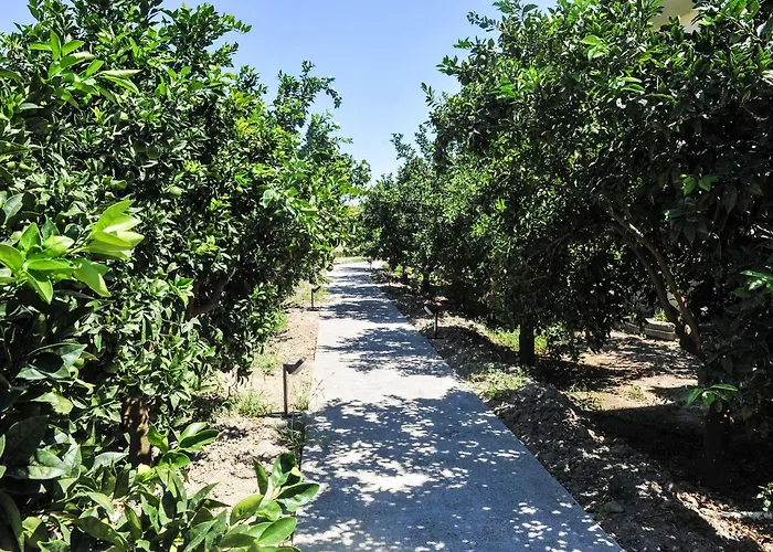 Ilyssion Holidays 2* Ialysos (Rhodes)