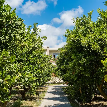 Ilyssion Holidays Hotel 2*