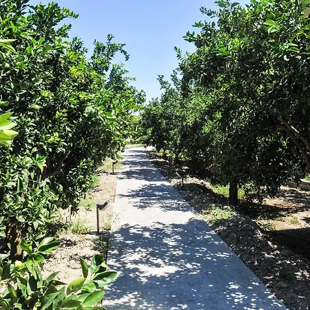 Ilyssion Holidays 2* Ialysos (Rhodes)