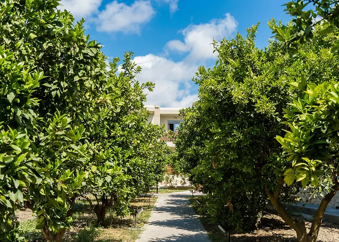 Ilyssion Holidays Hotel 2*